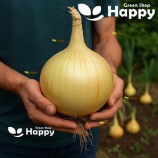 craig for sale  DONCASTER