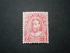 Newfoundland kgv 1911 for sale  BOSCASTLE