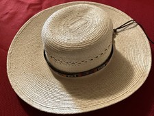 Sunbody guatemalan palm for sale  Attica