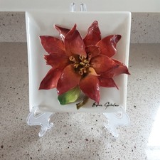 Eva gordon poinsettia for sale  Port Hueneme