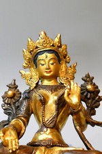 Tara jaune bronze d'occasion  Cazères