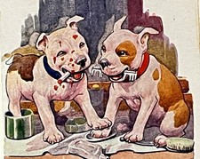 Pit bull terrier for sale  Rancho Mirage