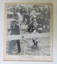 derby horses for sale derby horses for sale COWES