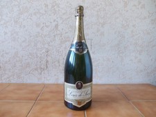 Ancien magnum factice d'occasion  Istres