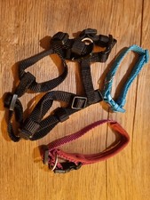 Hunde geschirr halsband gebraucht kaufen  Jengen