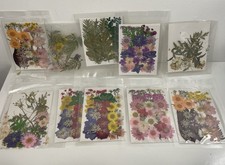 Dried pressed flowers for sale  Minneapolis