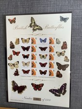 2005 bradbury history for sale  BIGGLESWADE