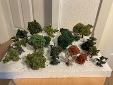 Spur bäume angefertigt gebraucht kaufen  Mildstedt