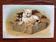 Helena maguire mother for sale  WEYMOUTH