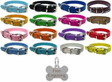 Vibrant leather dog for sale  CHELTENHAM