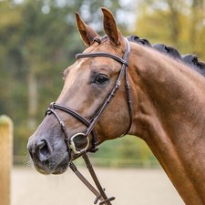 Passier trense fly gebraucht kaufen  Hessisch Oldendorf