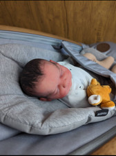Beringuer cuddle reborn for sale  MARGATE