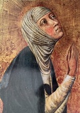 Santino santa caterina usato  Treviso Bresciano