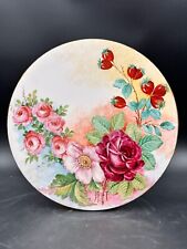 Tondo ceramica sci usato  Sesto Fiorentino