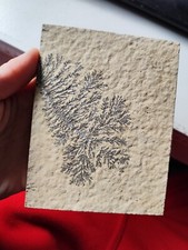 Eisen mangan dendriten gebraucht kaufen  Creußen
