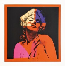 Grittini giuliano 50x50 usato  Italia