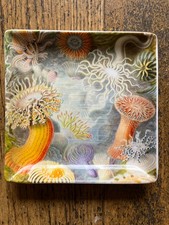 Life jay ceramic for sale  LONDON