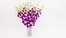 Fresh vibrant purple for sale  Vancouver