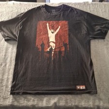 Wrestling tee wwe for sale  Charlestown