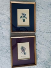 Pair botanical prints for sale  Ashland