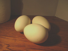 Three jumbo size for sale  Houston