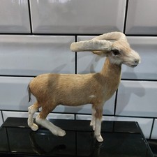 Vintage real fur for sale Vintage real fur for sale  WARWICK