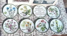 Usado, Prato vintage, Lote de pratos, Kaiser, prato de porcelana, ervas, floral, pendurado na parede comprar usado  Enviando para Brazil