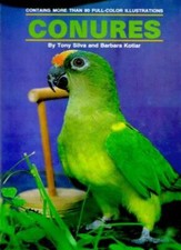Conures tony silva for sale  UK