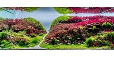 Live aquarium plants for sale  MARKET RASEN