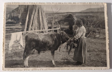 Donna che fieno usato Donna che fieno usato  Forlimpopoli