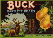 Buck brand scarce for sale  Selah