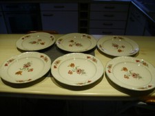 tulipe boch gebraucht kaufen tulipe boch gebraucht kaufen Lingenfeld