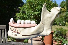 Vintage anatomical model for sale  GUILDFORD