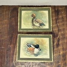 Vtg basil ede for sale  Hubbard