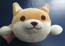 Japanese shiba inu for sale  UK