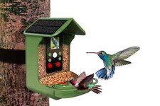 Solar bird feeder for sale  BERKHAMSTED