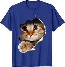 Kitten lover cute for sale  Amityville