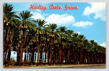 Hadley date grove for sale  Torrance