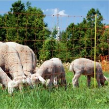 Electric sheep netting for sale  HERTFORD