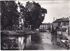 Treviso pescheria viagg. usato  Isola Vicentina
