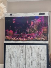 Fish tank aquarium for sale  DUDLEY