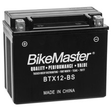 Bikemaster maintenance free for sale  USA