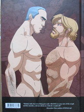 Gay bildband comic gebraucht kaufen  Schönsee