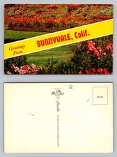 Sunnyvale california greetings for sale  USA