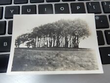 Wingreen wiltshire 1931 for sale  UK