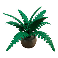 Sympa plante fougère d'occasion Sympa plante fougère d'occasion  Gonfreville-l'Orcher