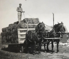 Vintage photograph snapshot for sale  Somerset