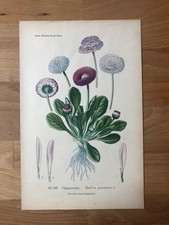 True vintage botanik gebraucht kaufen  Stuttgart