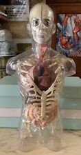 Vintage large busto usato  Gioia del Colle