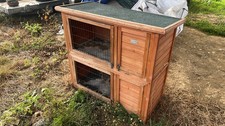 Tier rabbit guinea for sale  STOWMARKET